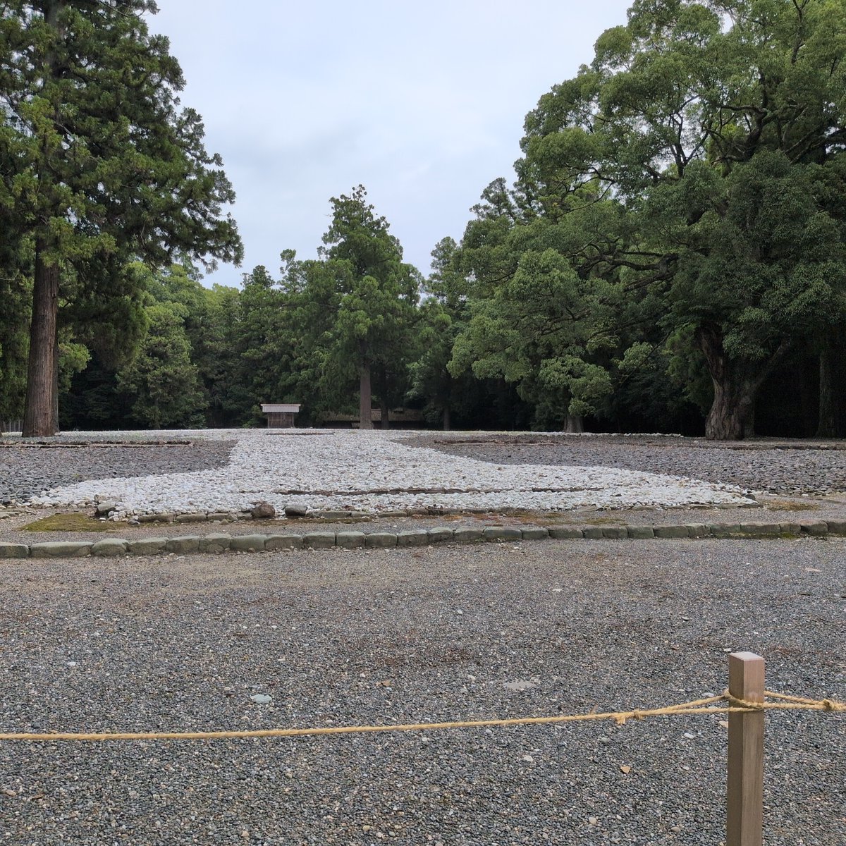 言葉にできない何かがある…

#神宮