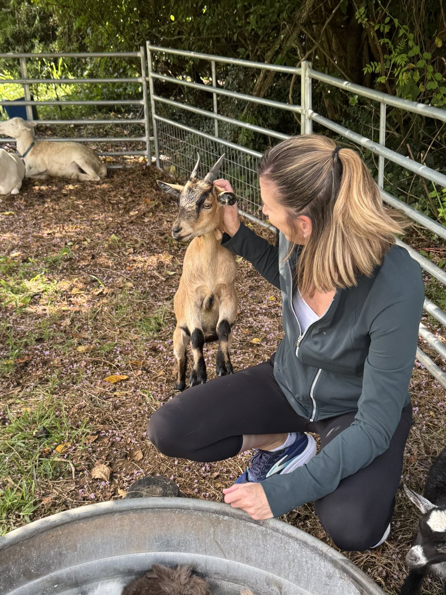 CoachWolterUWF's tweet image. Petting Zoo?  Ummm… yes please!  #Goats #Pigs #Bunnies #MyHappyPlace #IWantAFarm #WorthEveryPenny