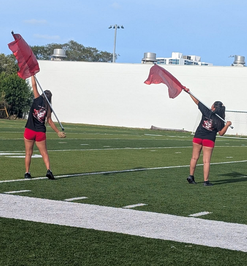 Beach High tweet media