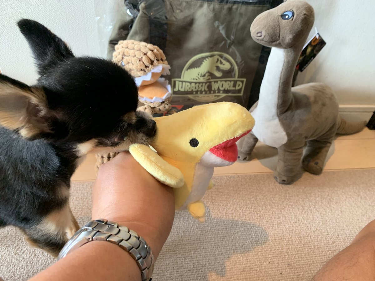 idolhappiness's tweet photo. 🦖🎞️ジュラシックワールド❤️🔥復活の大地
🦕
#jurassicworldrebirth
映画レビューはこちら⬇️
https://t.co/yliBEPHmAP
#楽しみ #jurassic #jurassicworld #ジュラシックワールド #dino #dinosaur #ワクワク #soexciting
#ジュラシックパーク #映画 #cinema #idolhappiness #oip40 https://t.co/NTybIkHfnp