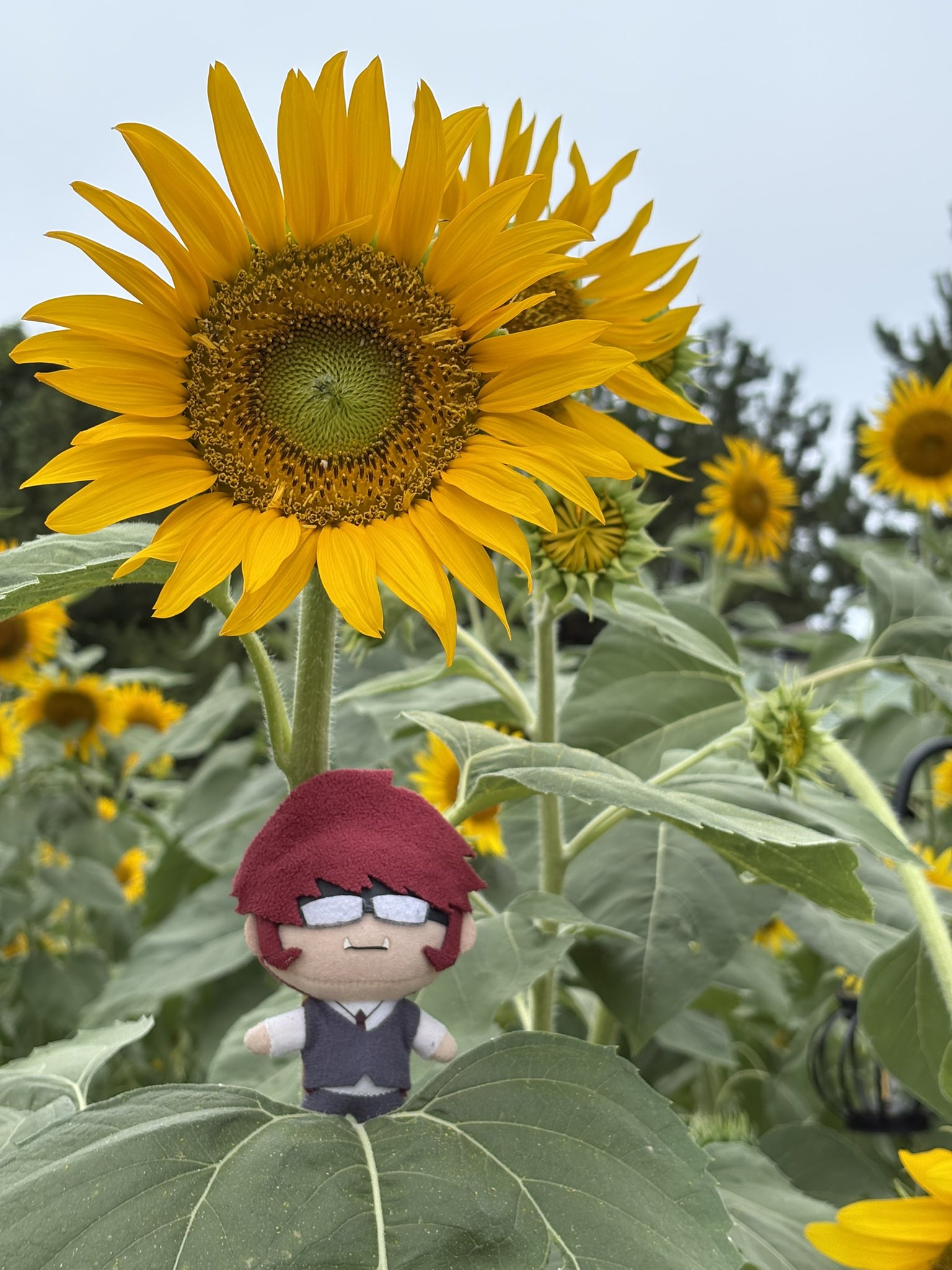 かたぎり on X: 