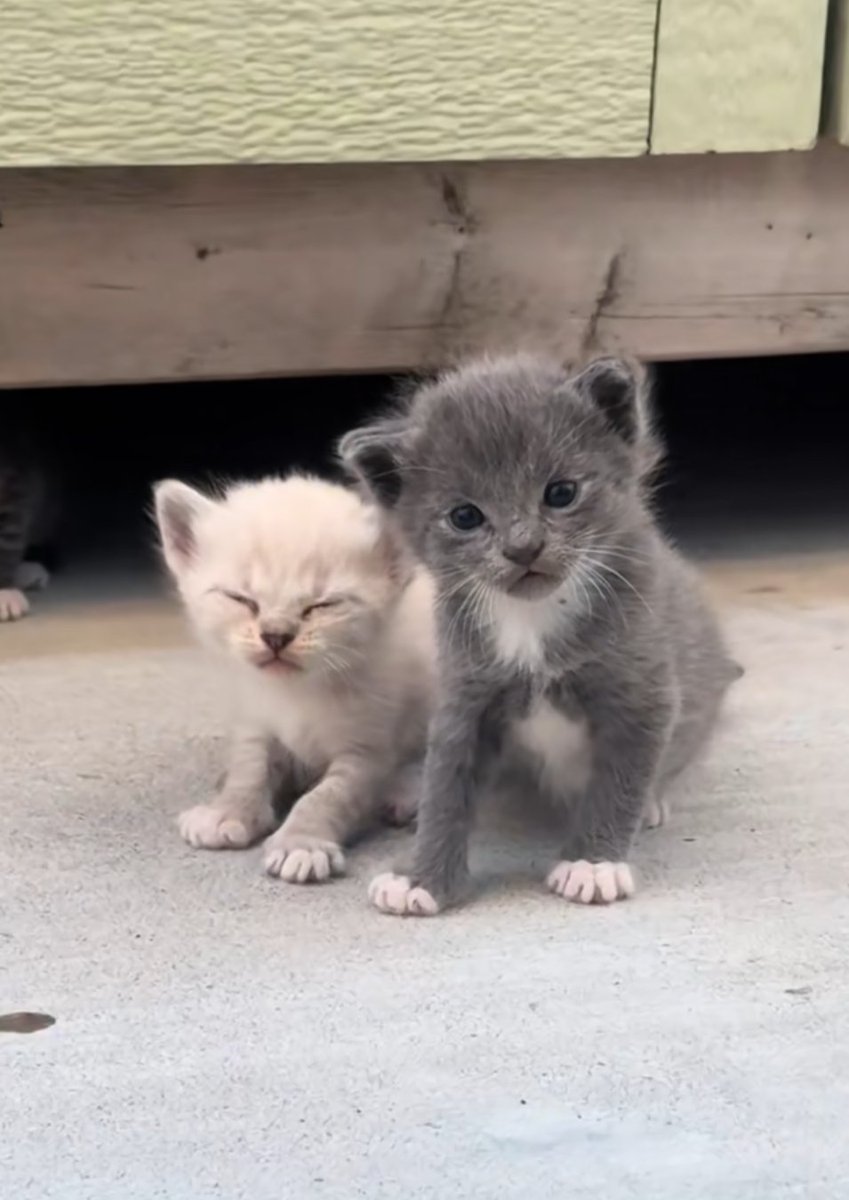 my son eepy and his brother steve