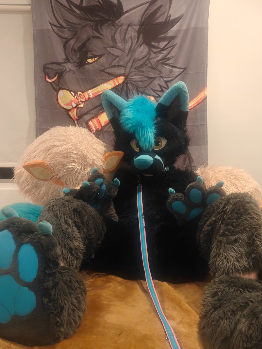 Happy #FursuitFriday ~ Been a little since Ive done of these posts. So figured it'd be fun. Need a little relaxing weekend anyways.