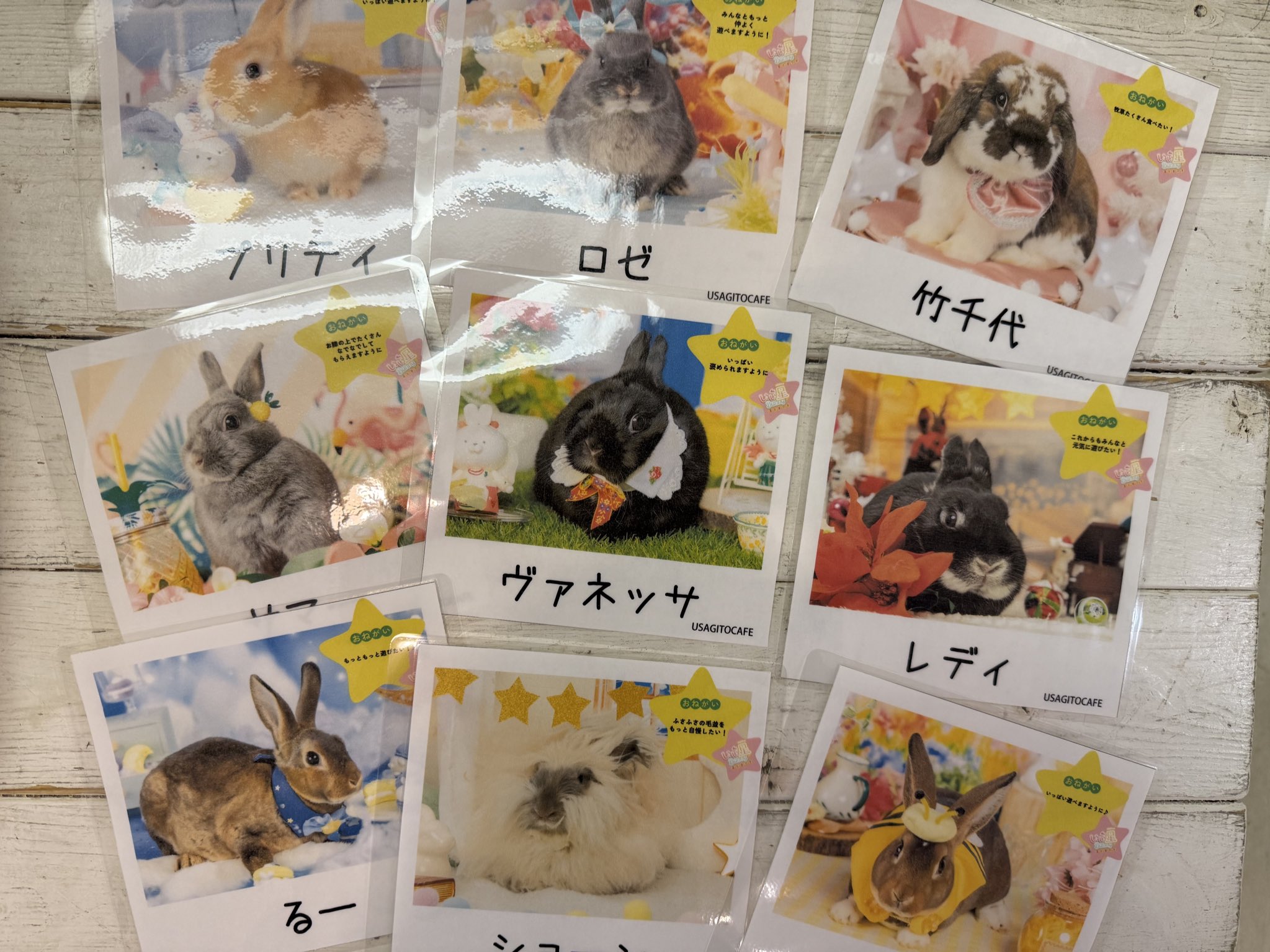 うさぎとCafe🐰うさぎカフェ on X: 