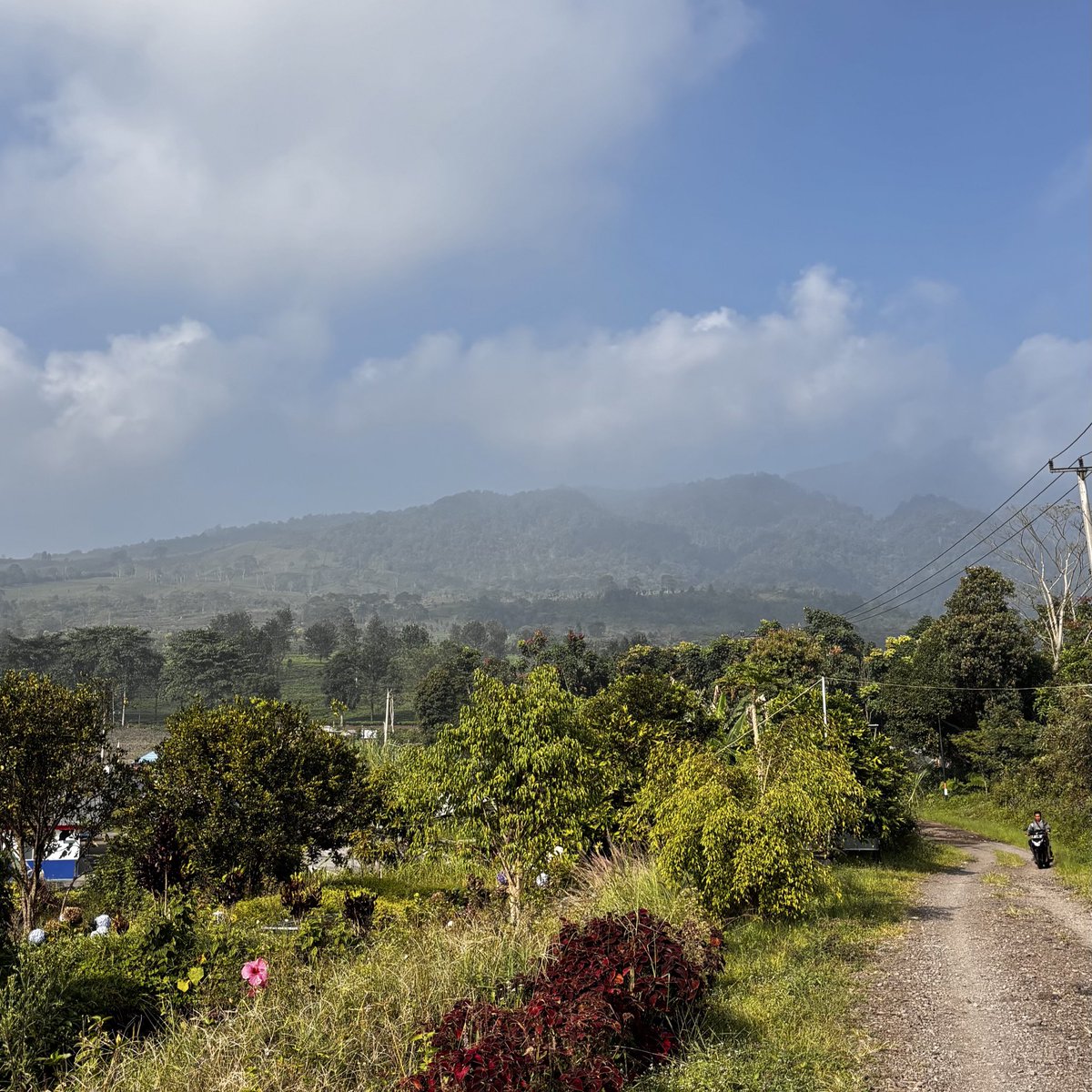 A productive yet salty-and-sweet morning 🧂🧊🍧