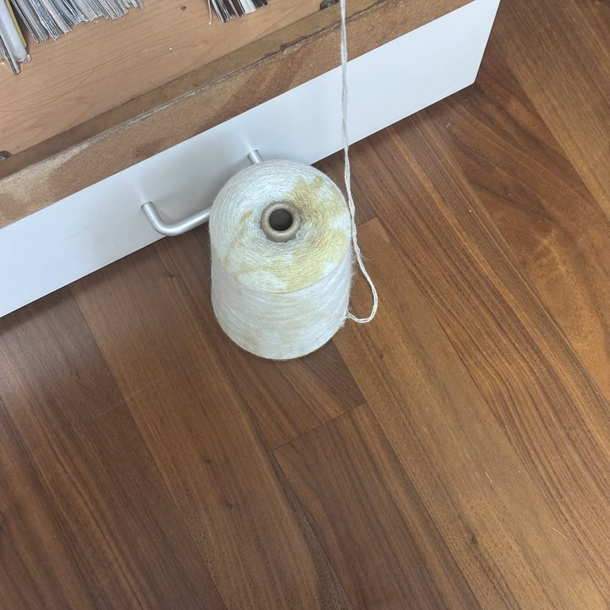 실환가? 고양이가내프빌에 토해놓음