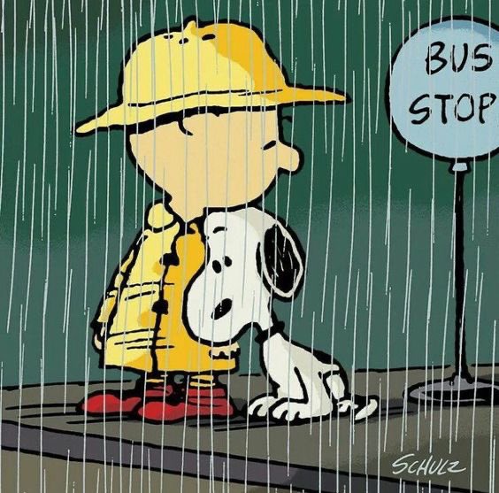 Daily Snoopy tweet media