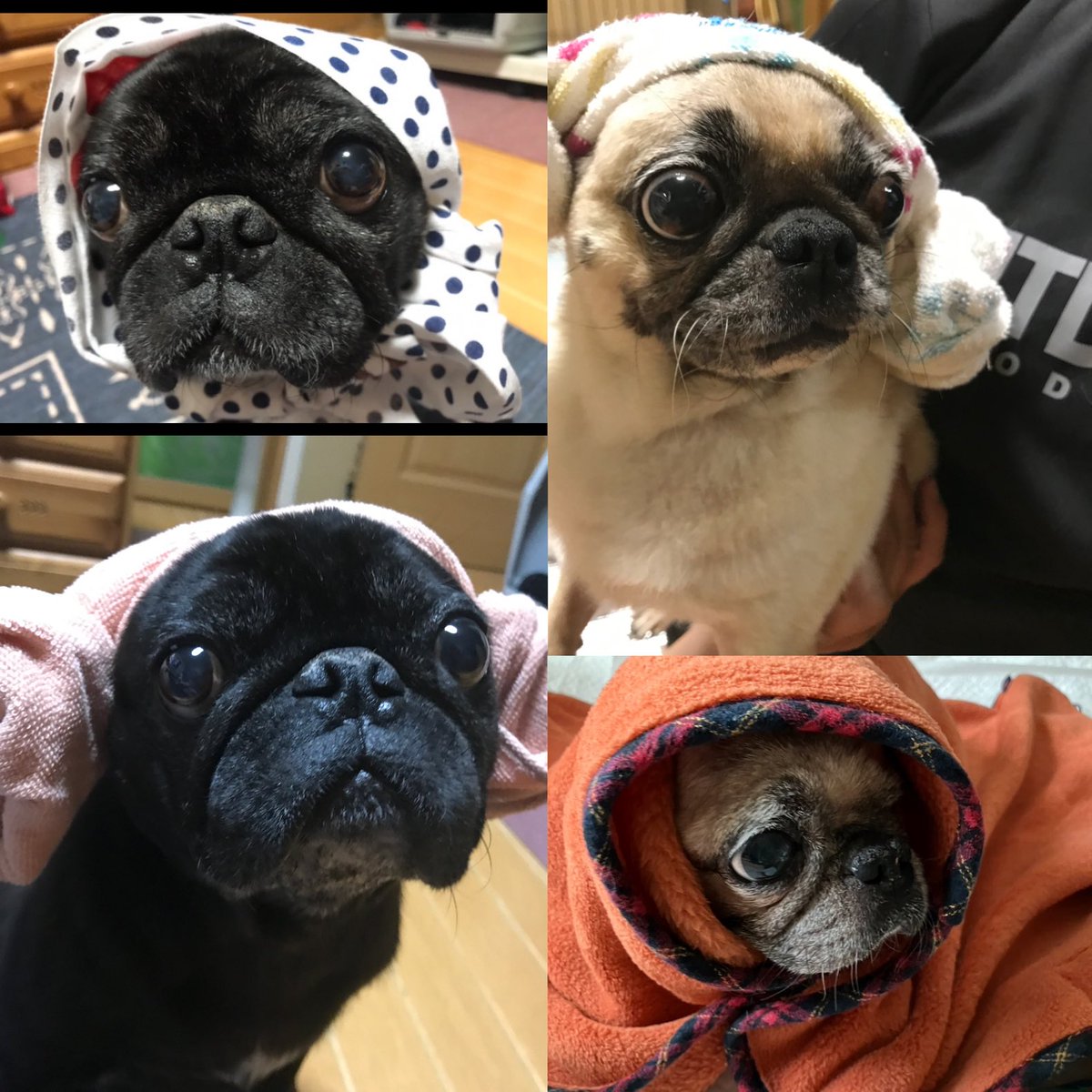 み〜やん☆彡 (@0618Miiyan) / Posts / X