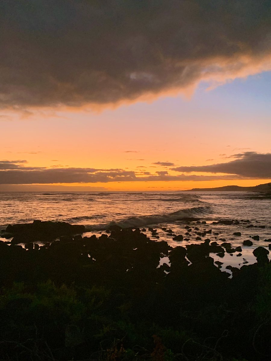 bigwaveBB's tweet photo. Orange 🍊 you glad it’s the weekend 😊

Relax and recharge 🪫 🔋 my friends 🫶🏼 https://t.co/SCkQOpZUNq