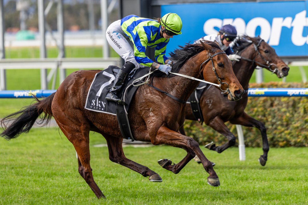 Clarken_Racing's tweet image. A wonderful staying performance by Peta’s Heart got our day underway in fantastic fashion. She is a progressive type who is relaxing beautifully now over the longer trips and was aided by a beautiful ride by Taylor Johnstone to score today.

Congratulations to the Ridgeport team.