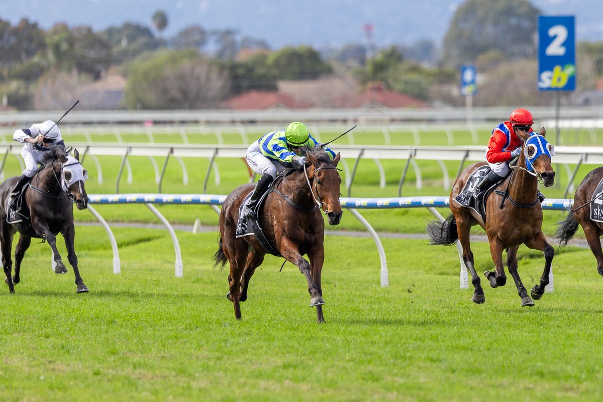 Clarken_Racing's tweet image. A wonderful staying performance by Peta’s Heart got our day underway in fantastic fashion. She is a progressive type who is relaxing beautifully now over the longer trips and was aided by a beautiful ride by Taylor Johnstone to score today.

Congratulations to the Ridgeport team.