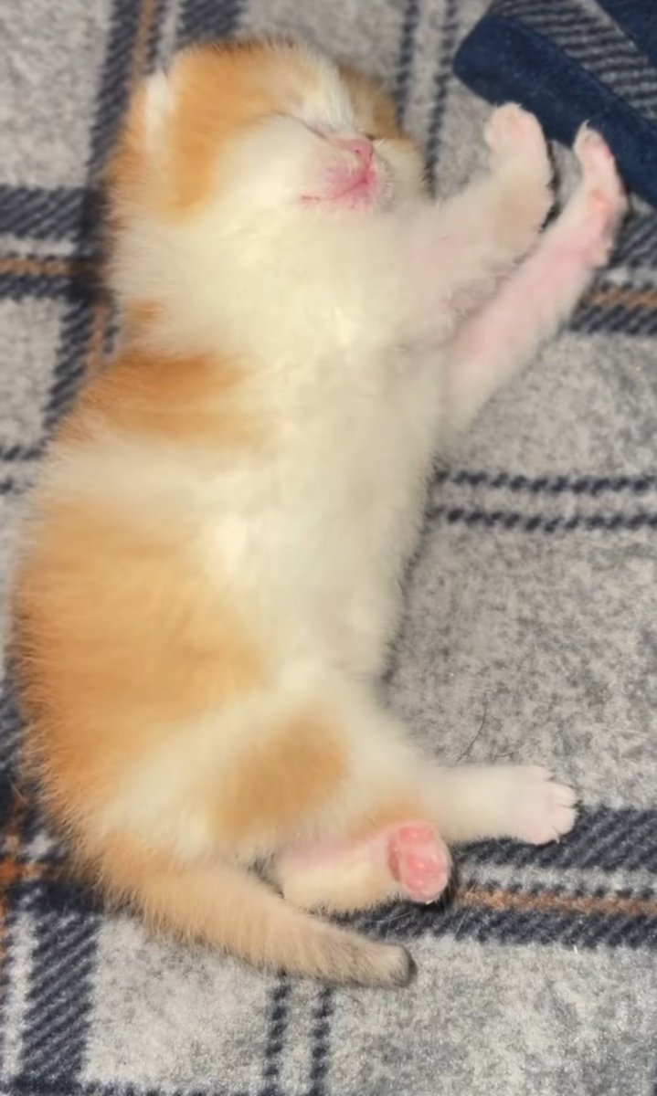 beautiful baby hes name truple cheeseburger no pickles extra cheese🍔❤️