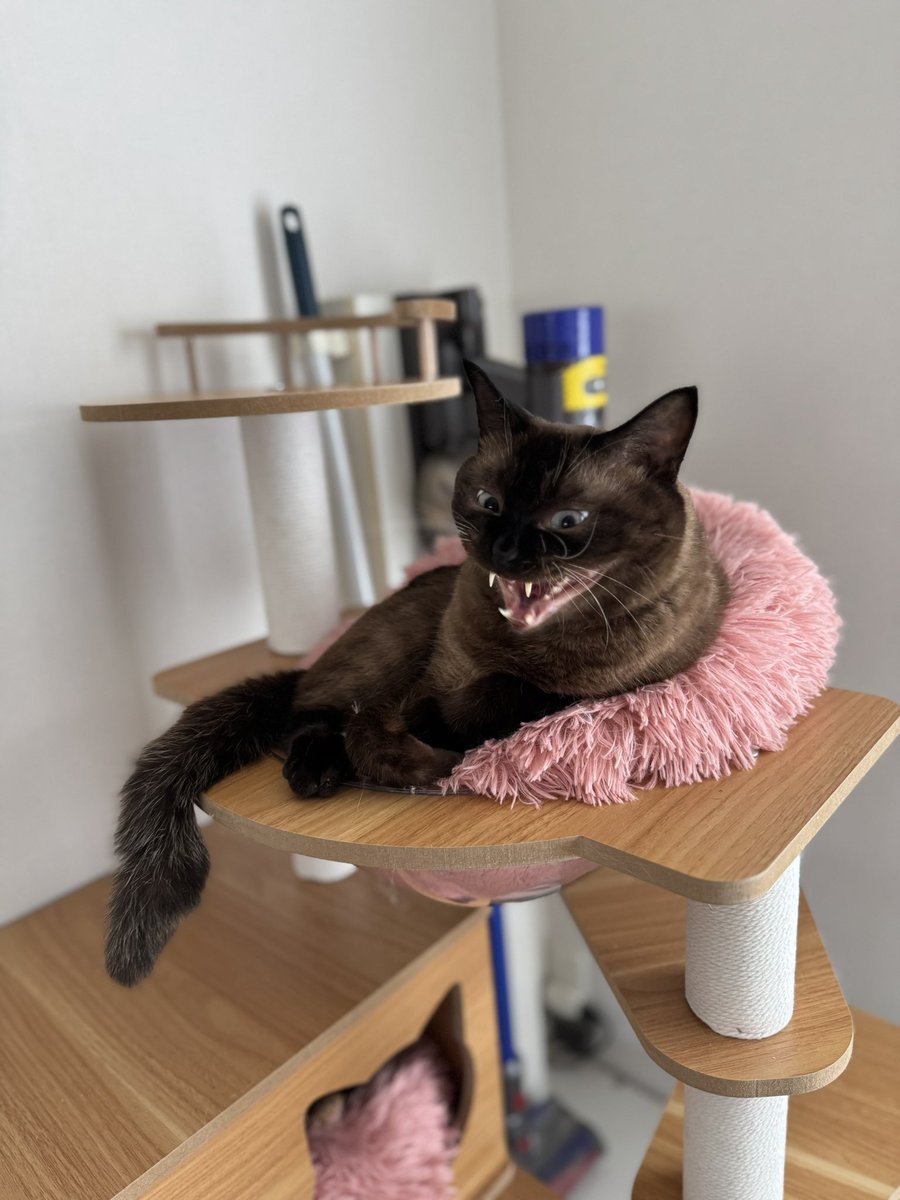 すっごい悪い顔
撮ってしまった🤣