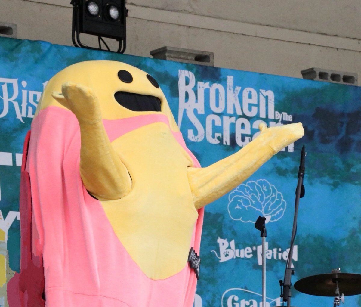 カメちゃん🐢両手広げて可愛いですね♪ （今日も元気をありがとう）😊