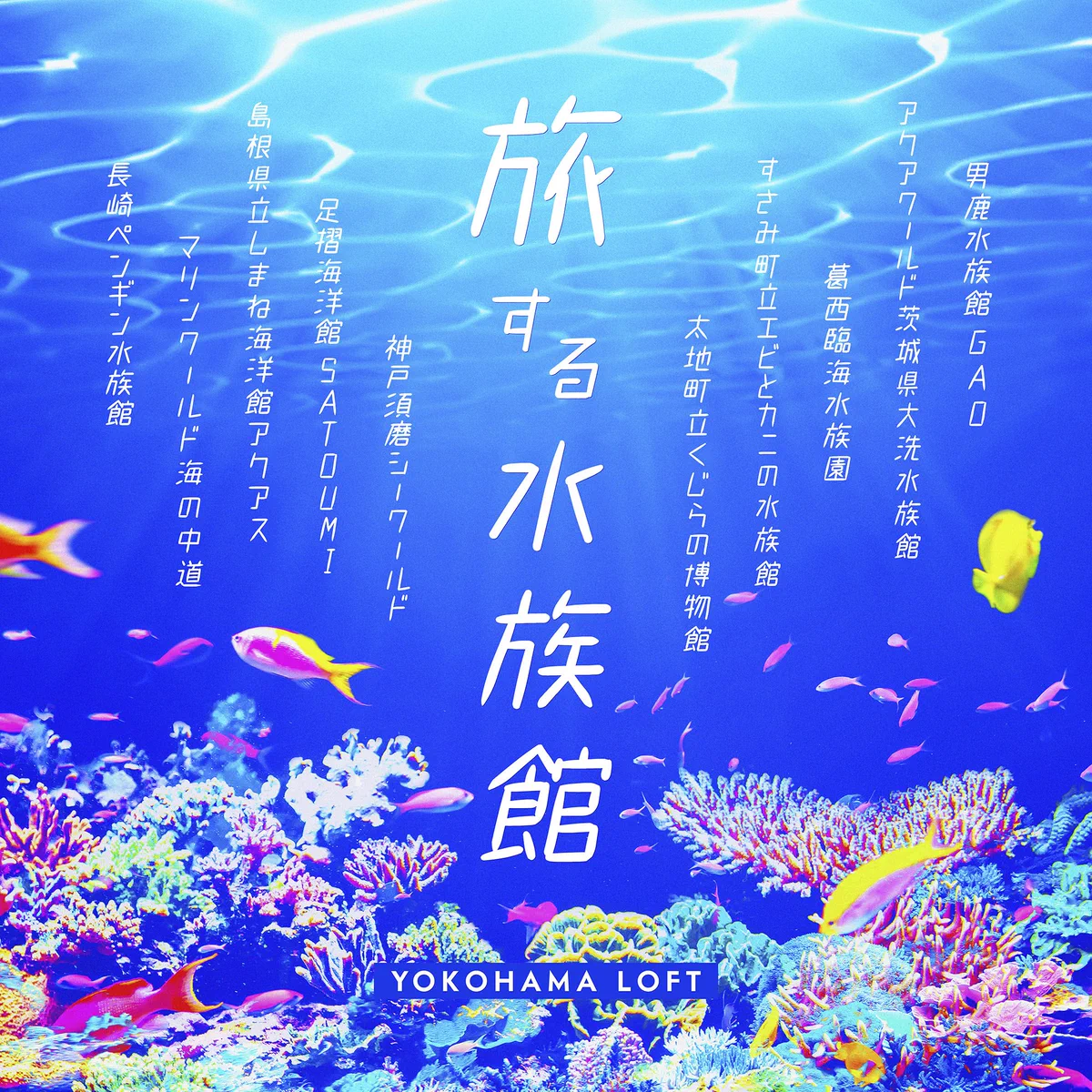 横浜ロフト on X: 
