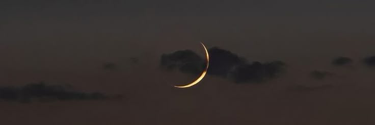 apakah lewat? sfu #zonauang