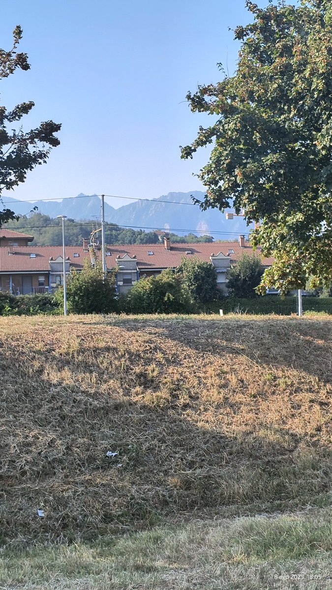 PanteraReporta's tweet image. 33 grados 😮‍💨