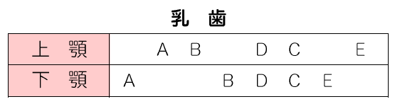 StepDH_M's tweet photo. 【乳歯の萌出順序】
誤った情報が流れているようなので、正しい情報を載せておきます。ご確認ください。
「歯科衛生士国家試験」は「教科書」に従って勉強してください。自称「国試のプロ」が発信する内容は根拠が低いのでご注意ください。 https://t.co/qMfFRHZ0mQ