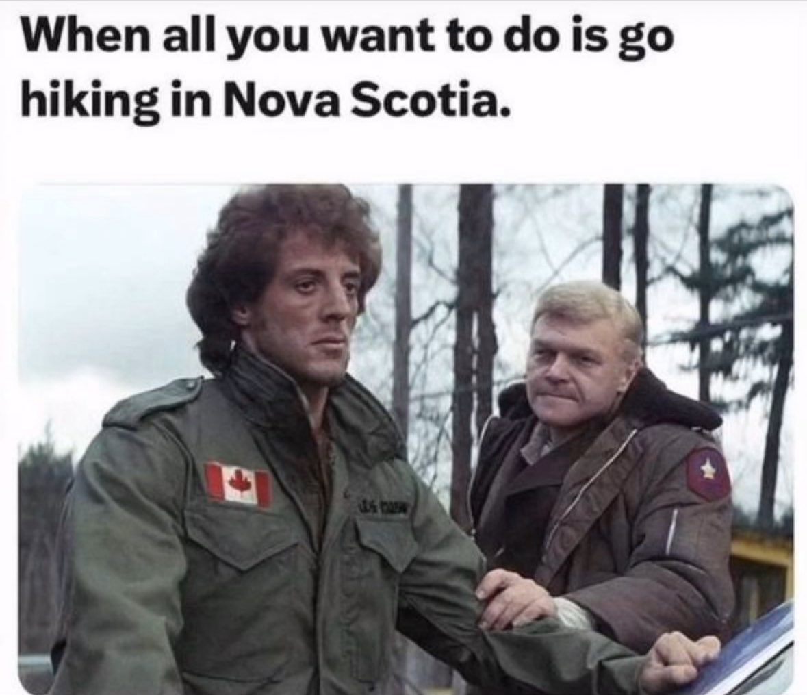 TGM (@dicky_paul_95) on Twitter photo 