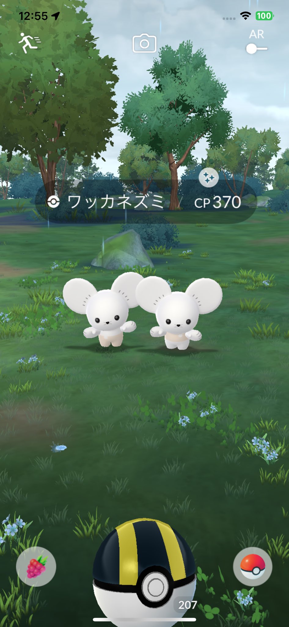 こゆっきー❤️ページ 雪◑ω◑)☞ゆっきー。ちゃん☜(◐ω◐虫) on X: 