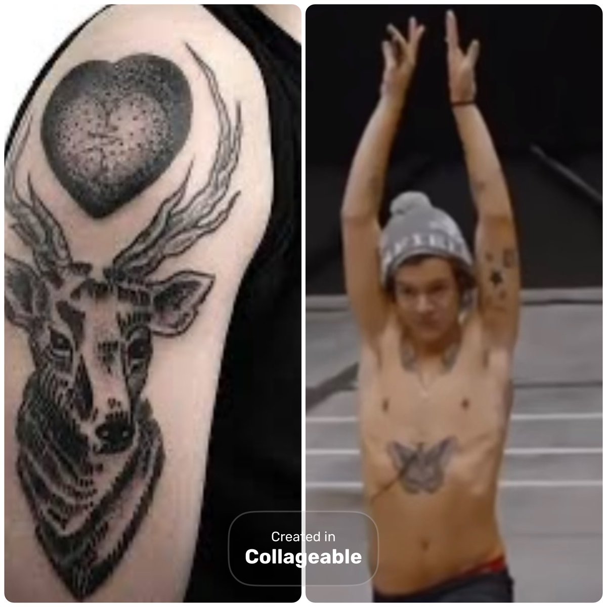 everything has a meaning