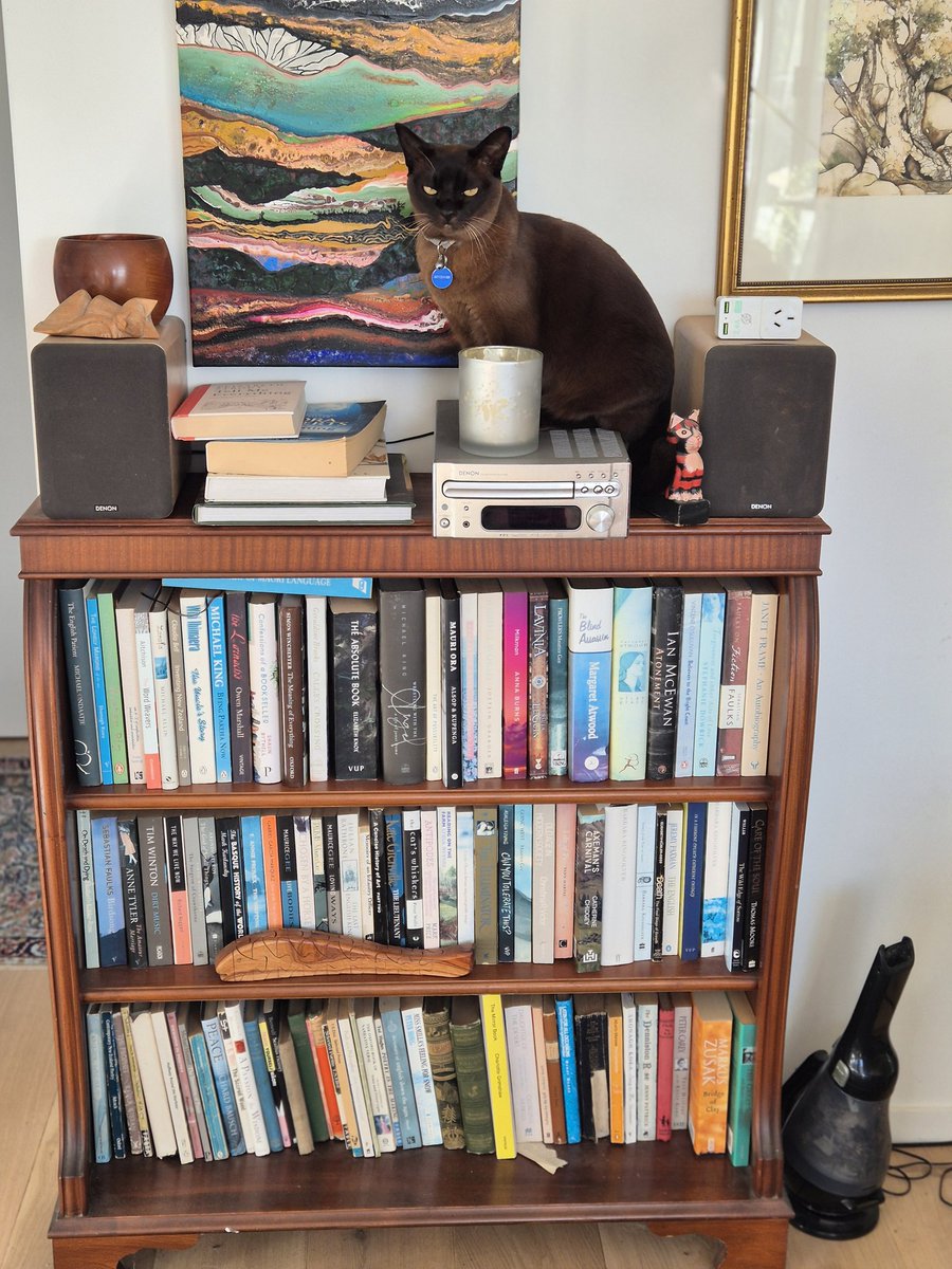 NZAllison's tweet photo. That darn cat!
#DarnCat https://t.co/H8ojz01Nh1