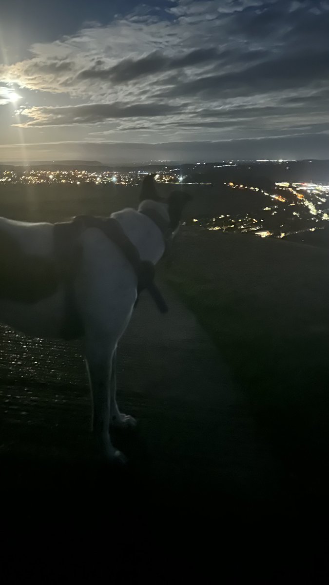 Fire’s Brigade tweet media