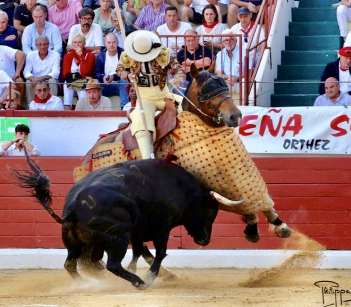 DESJARRETE DE ACHO tweet media