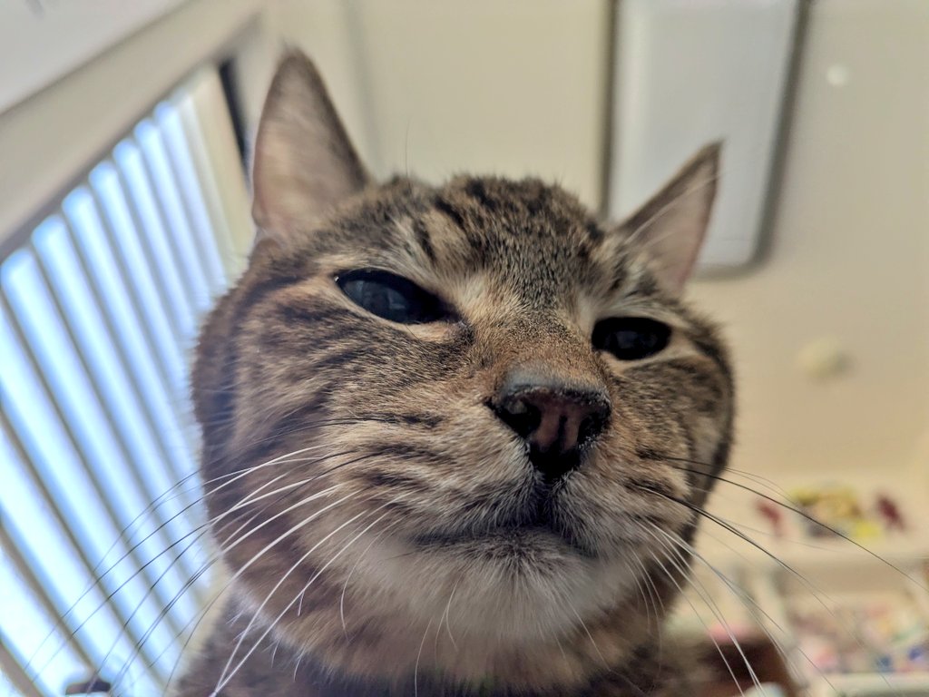 今日から実家へ🛫

みかん…すまんな🥲