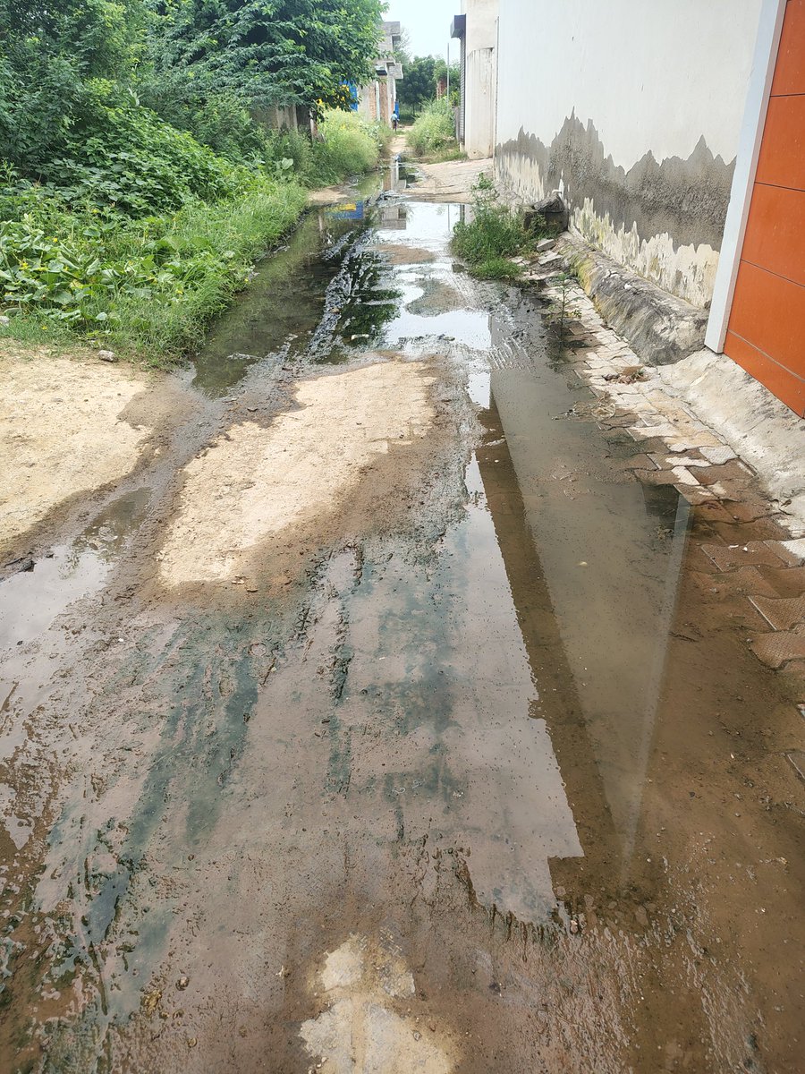 Mahavee16510353's tweet image. @cmohry @CMWindowHry @swachhbharat @PHEDHARYANA01
&amp;gt; In Siwani (127046), sewerage water is overflowing for the last few days, causing foul smell &amp;amp; serious health hazards to residents. Immediate action is needed.
Contact: 9053750830

#Haryana #SewerageProblem