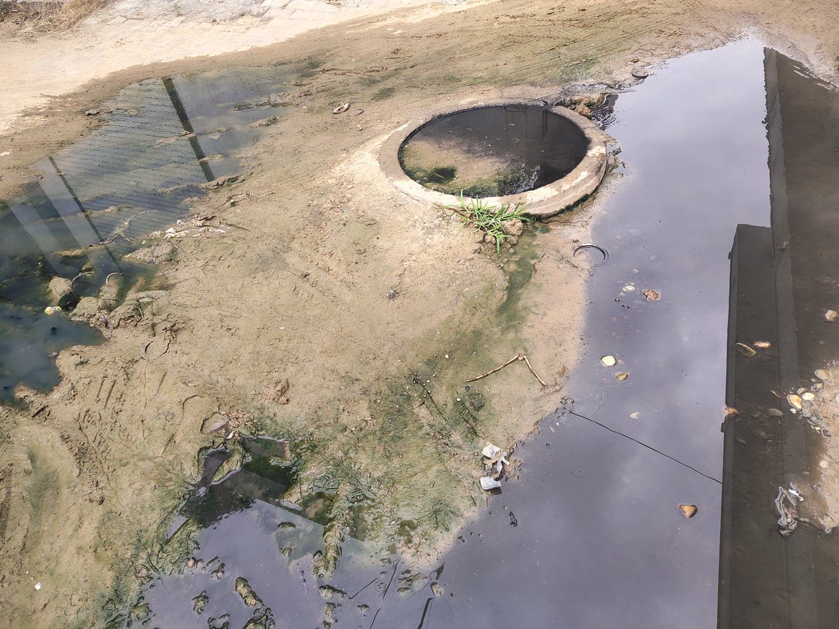 Mahavee16510353's tweet image. @cmohry @CMWindowHry @swachhbharat @PHEDHARYANA01
&amp;gt; In Siwani (127046), sewerage water is overflowing for the last few days, causing foul smell &amp;amp; serious health hazards to residents. Immediate action is needed.
Contact: 9053750830

#Haryana #SewerageProblem