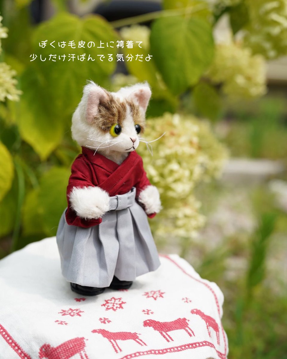nekobear1's tweet photo. オーダーちゃんのコスチューム✨✨
#ネコベア https://t.co/QLaj0g7tco