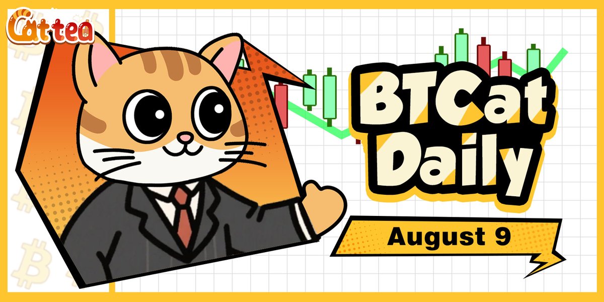 CatrixXyz's tweet image. 📢 BTCat Daily | August 9, 2025

BTC futures open interest jumped 23% to $48B, while funding rates stay steady at 0.005%–0.008% — a sign leverage is building without overheating.

$9.2B in Open Interest is stacked between $115,800–$117,400, a tight zone that could snap either…