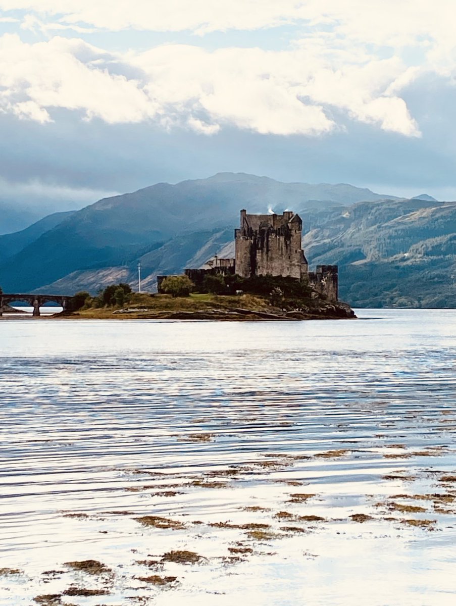 Good morning everyone! 😊
📸by me