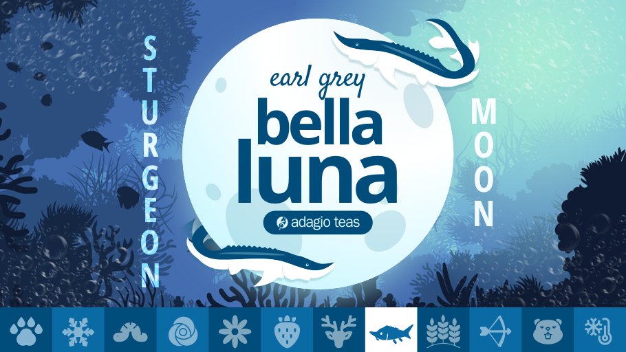 It’s Bella Luna time! 🌕 Our Earl Grey with hints of coconut and cream is back for 24 hours only. 💕

Don't forget we operate on EST—plan your brew accordingly!

adagio.com/black/earl_gre…