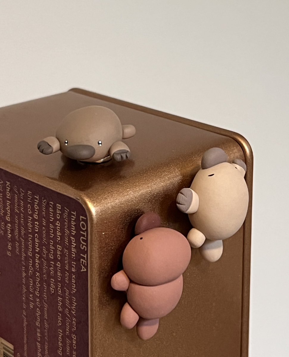 엉금... 엉금... 🦆🦝