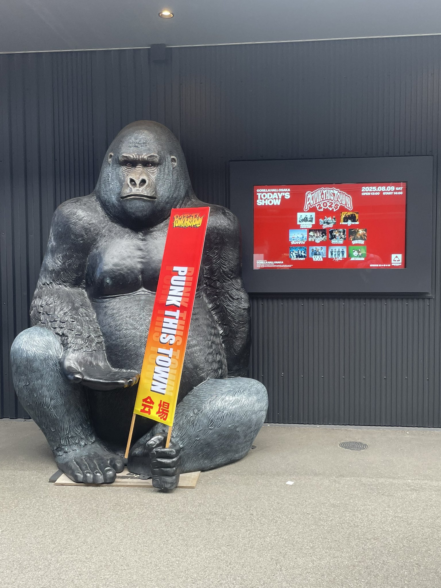 gorilla - ぴぴぴ、ピンクなブレインがカワちぃ！サイズS  GORILLA スラス ぴぴぴ、ピンクなブレインがカワちぃ！サイズS GORILLA スラス