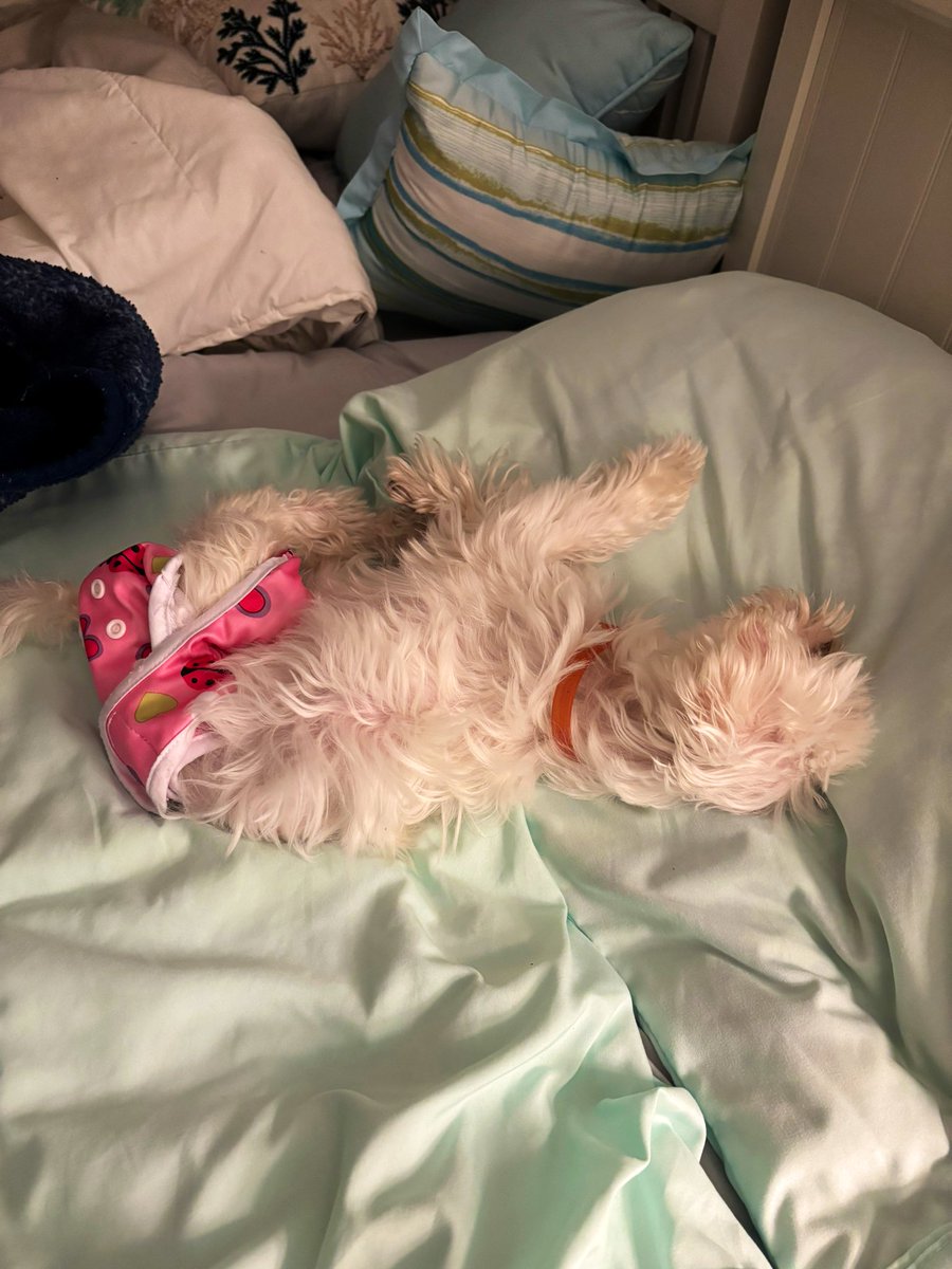 Goodnight everyone 💤 Our last night in Myrtle Beach 🏖️❤️🥺🏝️ 🌊 😎 🦋 🕶️ 🥺🩷🌻….We had fun! 🤩 See you all bright and early in the morning ☀️…,Goodnight 💙✌️🤗🥰❤️ #Hayden🤍 #Carly🤍