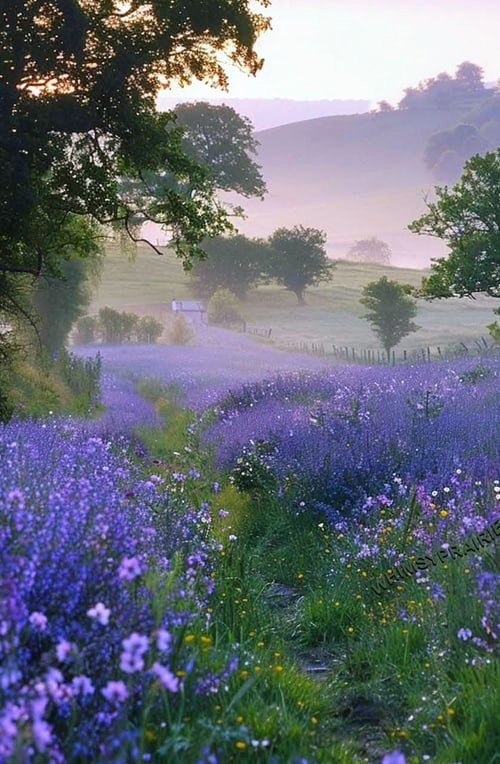 123 (@xetra_a) on Twitter photo 