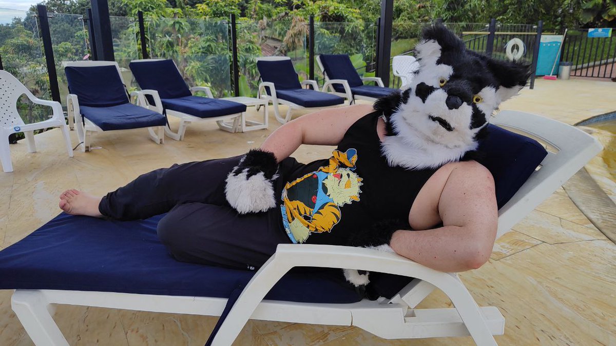 Do you have plans tonight? Because I can be the distraction you've been looking for. #FursuitFriday 🐺🐶✨