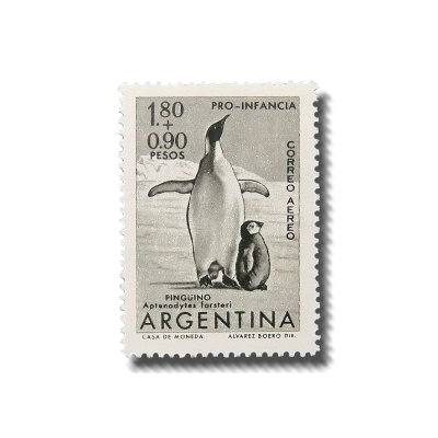 ᅠᅠᅠ𝑺𝐚𝐧𝐭𝐢𝐚𝐠𝐨 𝓟. tweet media