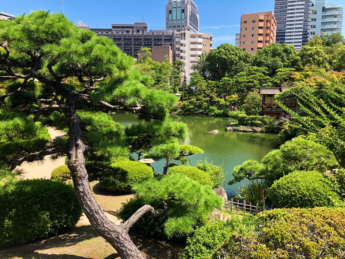 王宮のお触れ（野獣邸）