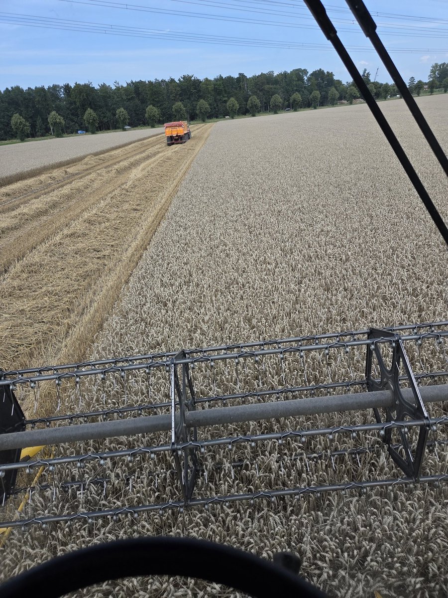 Jaap Lodders tweet media