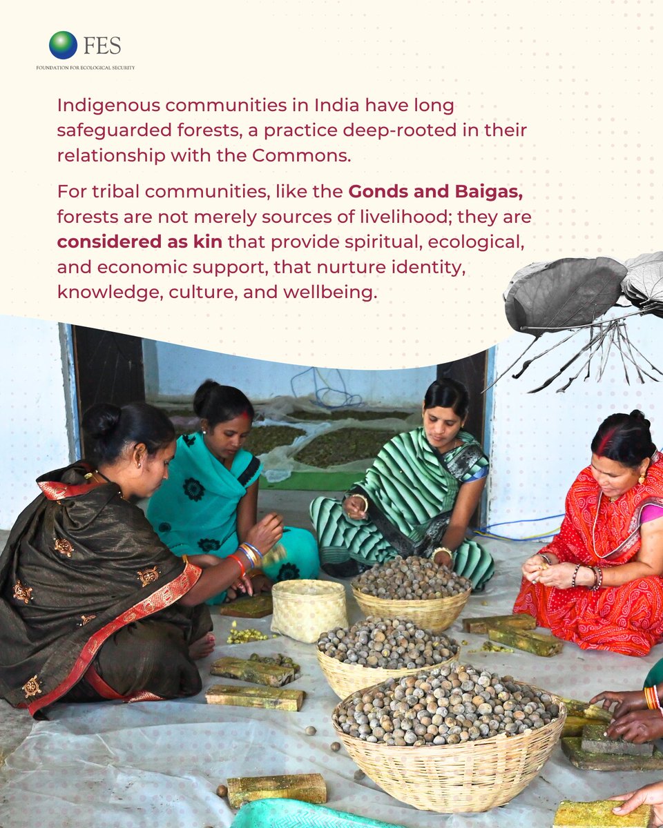 Forests feed, heal &amp; sustain us. Those closest to them have long cared for them best. This #IndigenousPeoplesDay, we honour communities who’ve stewarded our forest Commons for generations through traditional knowledge &amp; community-led governance.