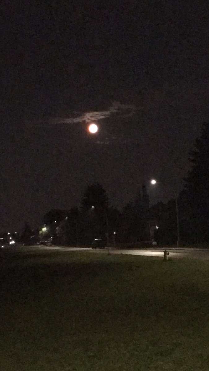 hello moon