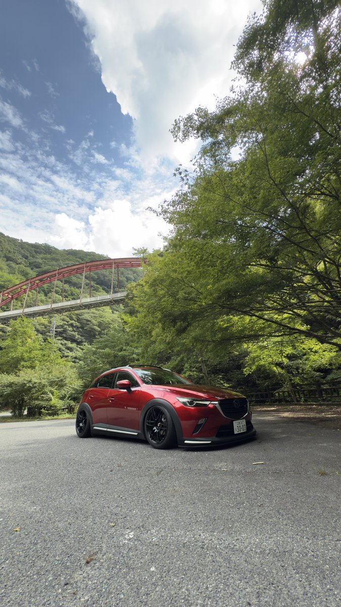 夏季休暇に入りました