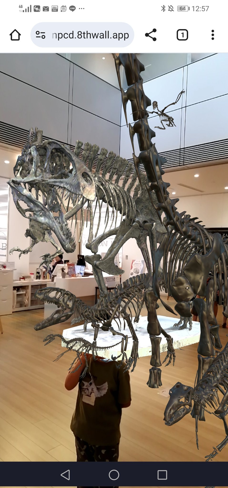 海千山千會 神の鼻 hqdefault.jpg?sqp=-