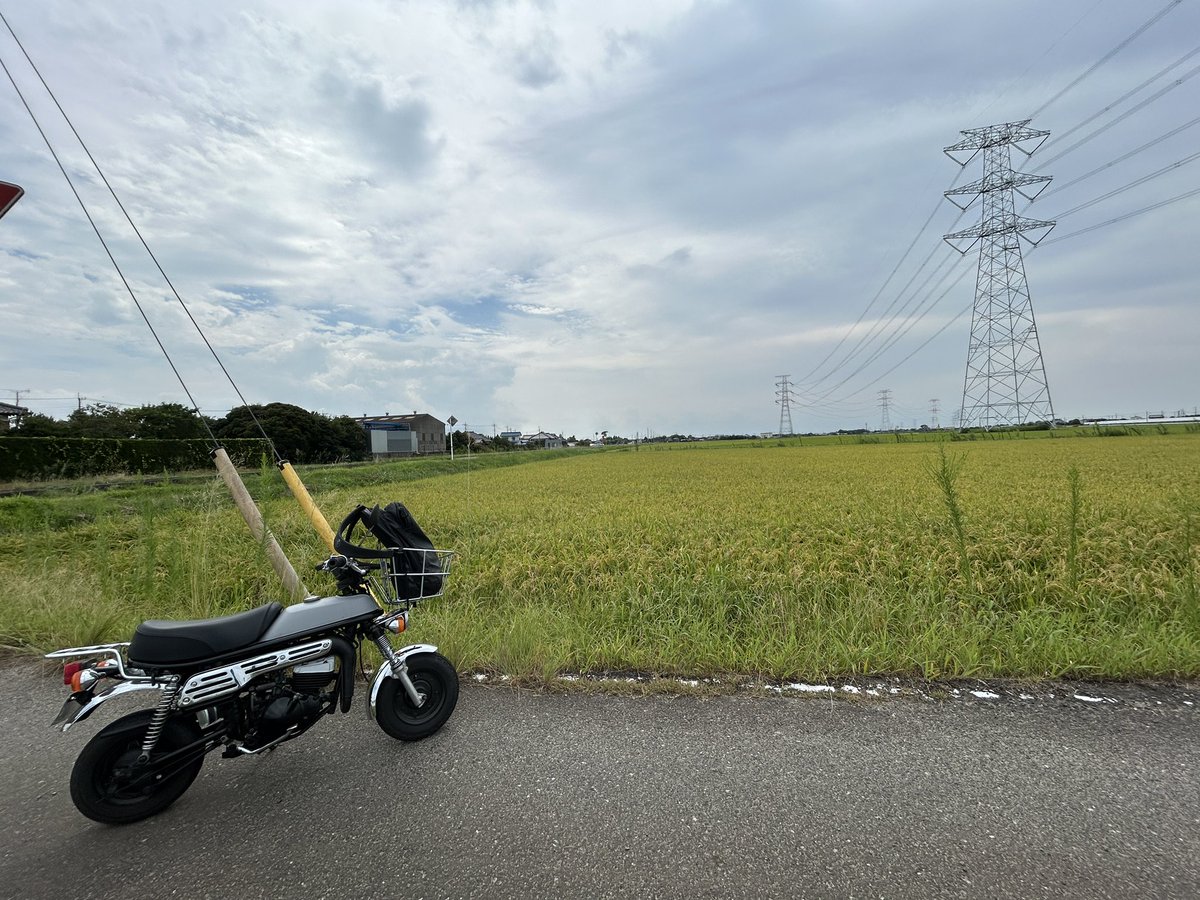 俺の夏始まった