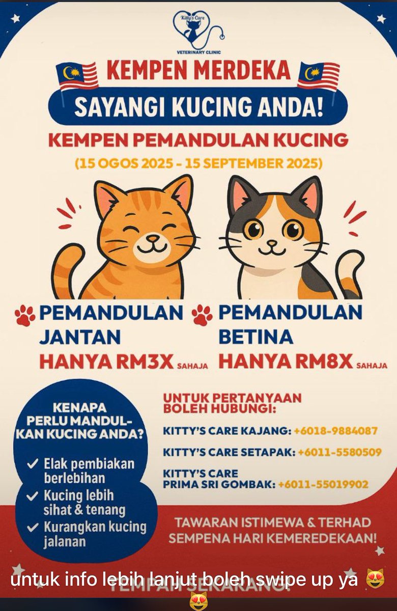 meeayusri's tweet photo. Promosi pemandulan kucing bermula 15 Ogos 2025 sehingga 15 September 2025 di Kittys Care Vet. Hubungi utk maklumat lanjut. Sebarkannnn  ❤️🤝 https://t.co/H0gakLFVlQ