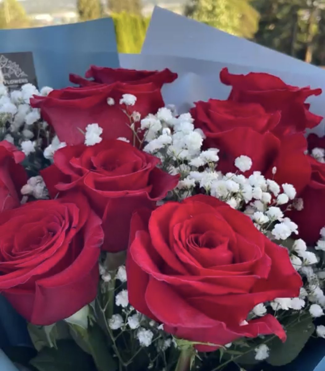 kkkKiran0's tweet image. Share your flower photos!🌹
#Myclick